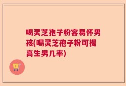 喝灵芝孢子粉容易怀男孩(喝灵芝孢子粉可提高生男几率)
