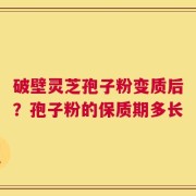 破壁灵芝孢子粉变质后？孢子粉的保质期多长