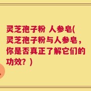 灵芝孢子粉 人参皂(灵芝孢子粉与人参皂，你是否真正了解它们的功效？)