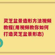 灵芝盆景造形方法视频教程(用视频教你如何打造灵芝盆景形态)