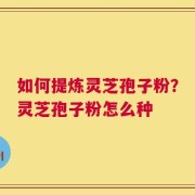 如何提炼灵芝孢子粉？灵芝孢子粉怎么种
