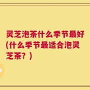 灵芝泡茶什么季节最好(什么季节最适合泡灵芝茶？)