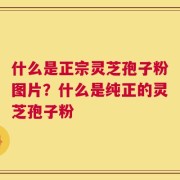 什么是正宗灵芝孢子粉图片？什么是纯正的灵芝孢子粉