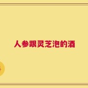 人参跟灵芝泡的酒