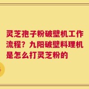 灵芝孢子粉破壁机工作流程？九阳破壁料理机是怎么打灵芝粉的