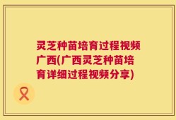 灵芝种苗培育过程视频广西(广西灵芝种苗培育详细过程视频分享)