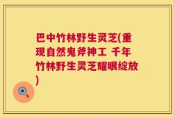 巴中竹林野生灵芝(重现自然鬼斧神工 千年竹林野生灵芝耀眼绽放)