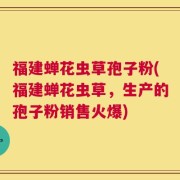 福建蝉花虫草孢子粉(福建蝉花虫草，生产的孢子粉销售火爆)