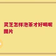 灵芝怎样泡茶才好喝呢图片