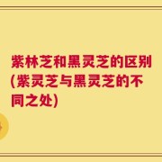 紫林芝和黑灵芝的区别(紫灵芝与黑灵芝的不同之处)