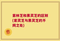 紫林芝和黑灵芝的区别(紫灵芝与黑灵芝的不同之处)