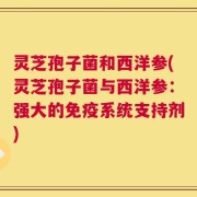 灵芝孢子菌和西洋参(灵芝孢子菌与西洋参：强大的免疫系统支持剂)