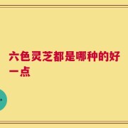 六色灵芝都是哪种的好一点