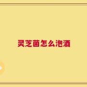 灵芝菌怎么泡酒