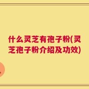 什么灵芝有孢子粉(灵芝孢子粉介绍及功效)