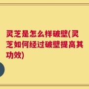 灵芝是怎么样破壁(灵芝如何经过破壁提高其功效)