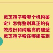 灵芝孢子粉哪个机构鉴定？怎样鉴别真正的有效成份和纯度高的破壁灵芝孢子粉在哪能买到