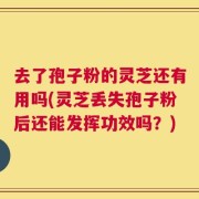 去了孢子粉的灵芝还有用吗(灵芝丢失孢子粉后还能发挥功效吗？)