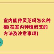 室内能种灵芝吗怎么种植(在室内种植灵芝的方法及注意事项)