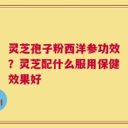 灵芝孢子粉西洋参功效？灵芝配什么服用保健效果好
