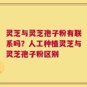 灵芝与灵芝孢子粉有联系吗？人工种植灵芝与灵芝孢子粉区别