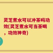 灵芝煮水可以冲茶吗功效(灵芝煮水可当茶喝，功效神奇)