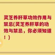 灵芝养肝草功效作用与禁忌(灵芝养肝草的功效与禁忌，你必须知道！)