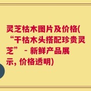 灵芝枯木图片及价格(“干枯木头搭配珍贵灵芝” - 新鲜产品展示, 价格透明)