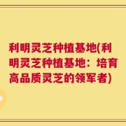 利明灵芝种植基地(利明灵芝种植基地：培育高品质灵芝的领军者)