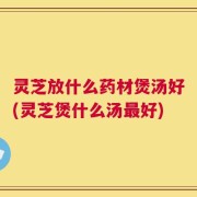 灵芝放什么药材煲汤好(灵芝煲什么汤最好)