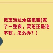 灵芝泡过水还很硬(煮了一整夜，灵芝还是泡不软，怎么办？)