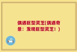 偶遇巨型灵芝(偶遇奇景：发现巨型灵芝！)