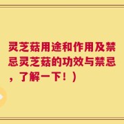 灵芝菇用途和作用及禁忌灵芝菇的功效与禁忌，了解一下！)
