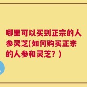 哪里可以买到正宗的人参灵芝(如何购买正宗的人参和灵芝？)