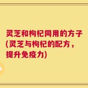 灵芝和枸杞同用的方子(灵芝与枸杞的配方，提升免疫力)