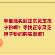 哪里能买到正宗灵芝孢子粉呢？寻找正宗灵芝孢子粉的购买渠道？