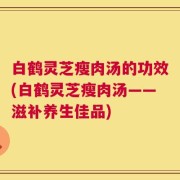 白鹤灵芝瘦肉汤的功效(白鹤灵芝瘦肉汤——滋补养生佳品)