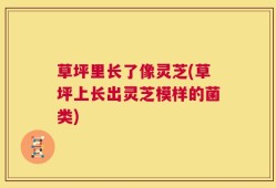 草坪里长了像灵芝(草坪上长出灵芝模样的菌类)