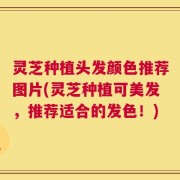 灵芝种植头发颜色推荐图片(灵芝种植可美发，推荐适合的发色！)