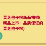 灵芝孢子粉新品拍摄(新品上市：品质保证的灵芝孢子粉)
