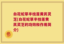 白花蛇草半枝莲黄芪灵芝(白花蛇草半枝莲黄芪灵芝的功效和作用简介)