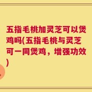 五指毛桃加灵芝可以煲鸡吗(五指毛桃与灵芝可一同煲鸡，增强功效)