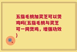 五指毛桃加灵芝可以煲鸡吗(五指毛桃与灵芝可一同煲鸡，增强功效)