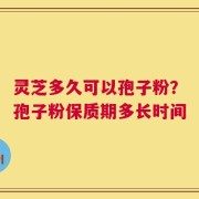灵芝多久可以孢子粉？孢子粉保质期多长时间