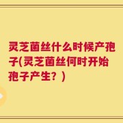灵芝菌丝什么时候产孢子(灵芝菌丝何时开始孢子产生？)