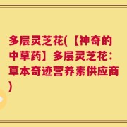 多层灵芝花(【神奇的中草药】多层灵芝花：草本奇迹营养素供应商)