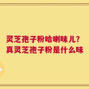 灵芝孢子粉哈喇味儿？真灵芝孢子粉是什么味