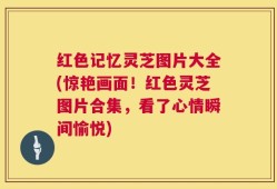 红色记忆灵芝图片大全(惊艳画面！红色灵芝图片合集，看了心情瞬间愉悦)