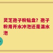灵芝孢子粉贴盘？孢子粉用开水冲泡还是温水泡