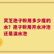 灵芝孢子粉用多少度的水？孢子粉用开水冲泡还是温水泡